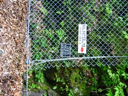イメージ 7