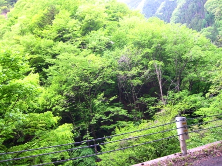 イメージ 2