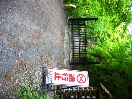 イメージ 5