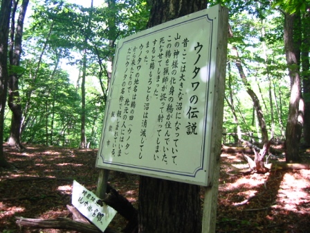 イメージ 9