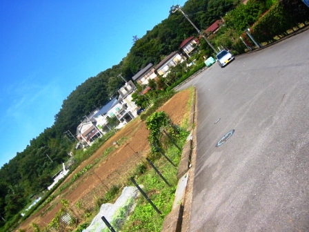 イメージ 4