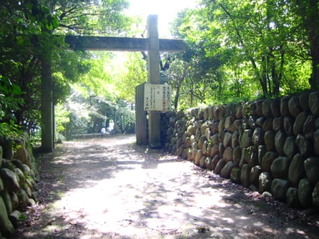 イメージ 9