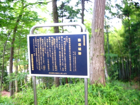 イメージ 4