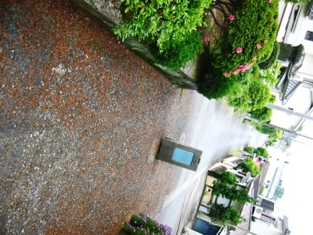 イメージ 6