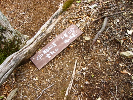 イメージ 11