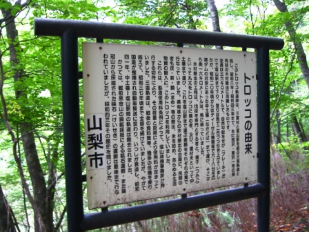 イメージ 7