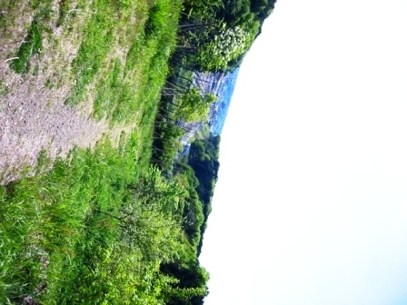 イメージ 9