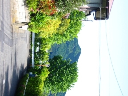 イメージ 10