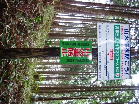 イメージ 8