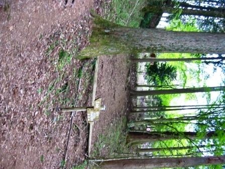 イメージ 10