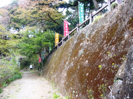イメージ 11