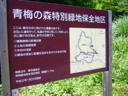 イメージ 10