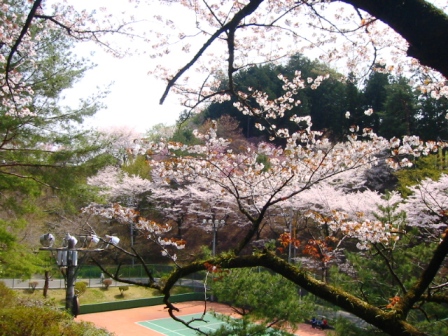 イメージ 3