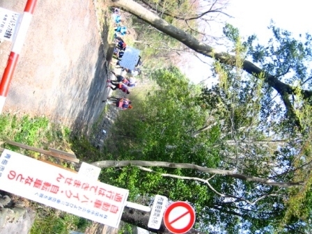 イメージ 5