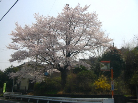 イメージ 7