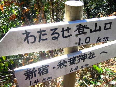 イメージ 6