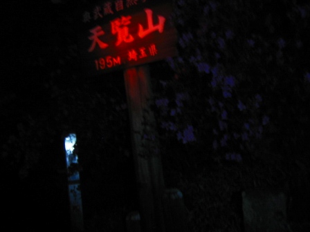 イメージ 11