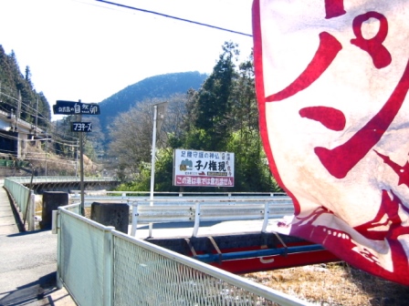 イメージ 11