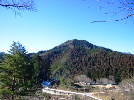 イメージ 9