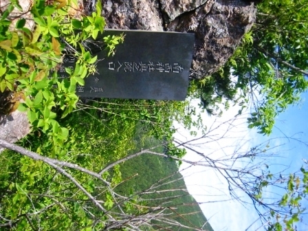 イメージ 5