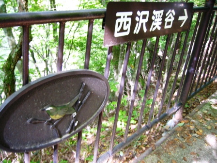イメージ 5