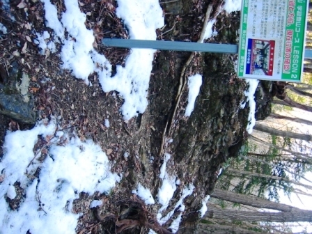 イメージ 10