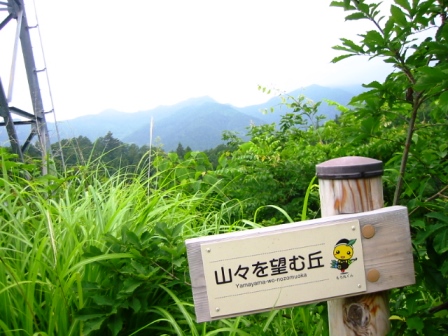 イメージ 15