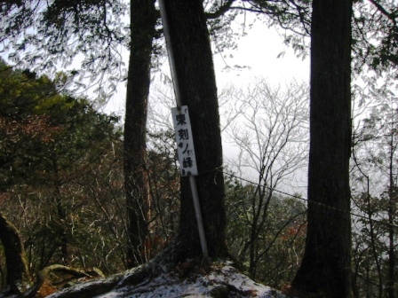 イメージ 7