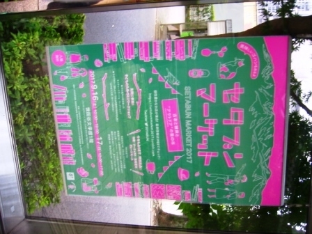 イメージ 7