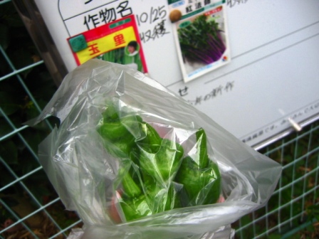 イメージ 8