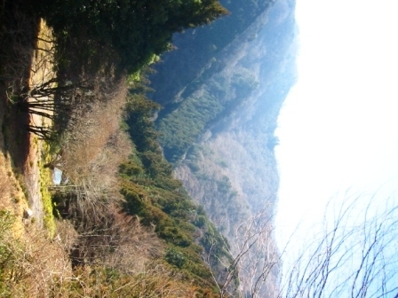イメージ 6