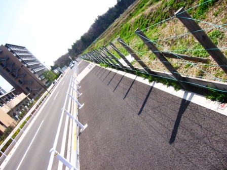 イメージ 2