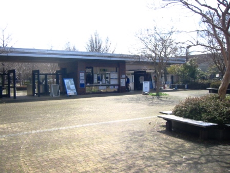 イメージ 6