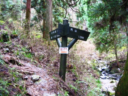イメージ 7
