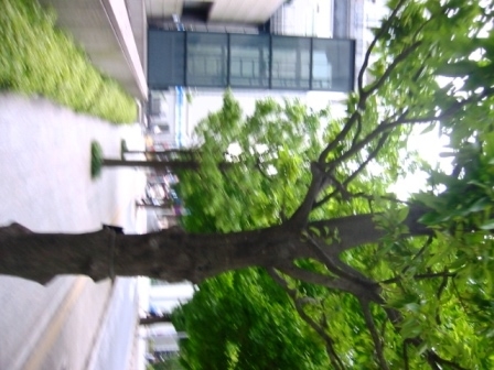 イメージ 10