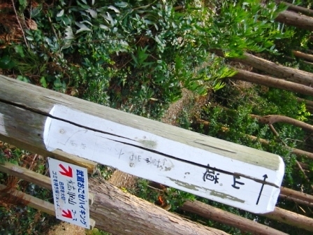 イメージ 20