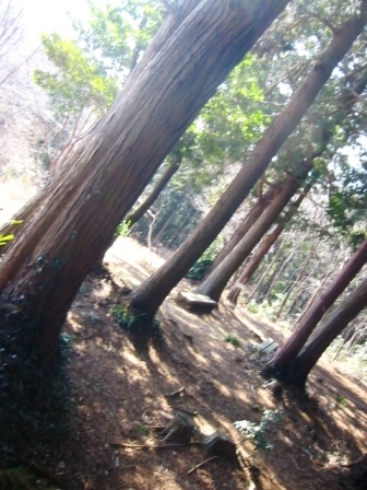 イメージ 9