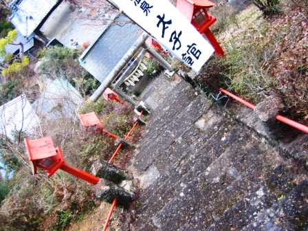 イメージ 7