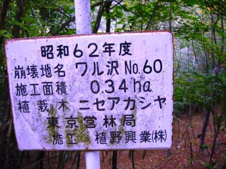 イメージ 6