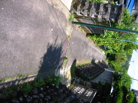 イメージ 9