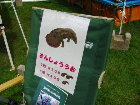 イメージ 7