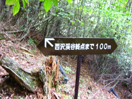 イメージ 9