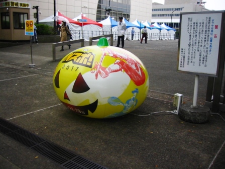 イメージ 13