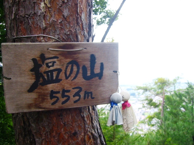 イメージ 15