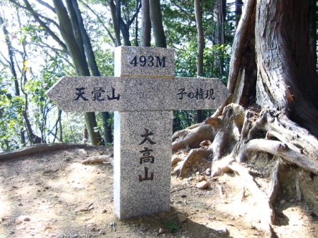 イメージ 3