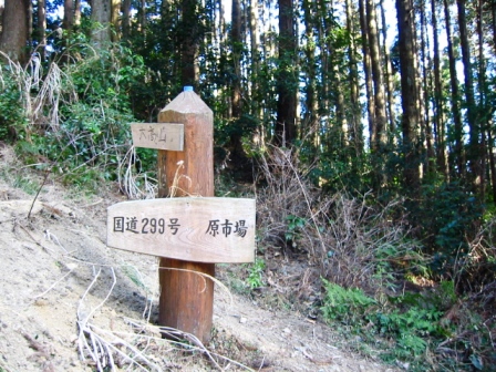 イメージ 8