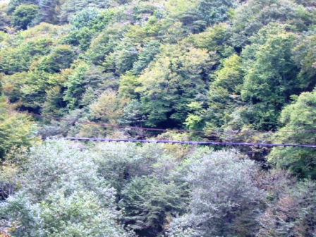 イメージ 4