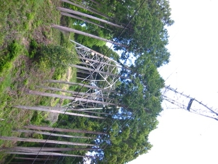 イメージ 6