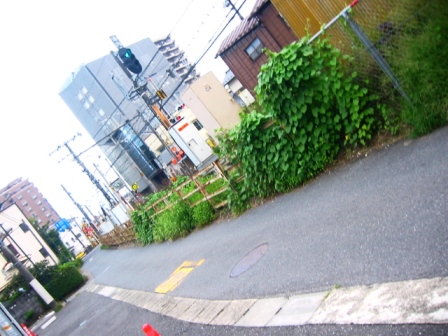 イメージ 13