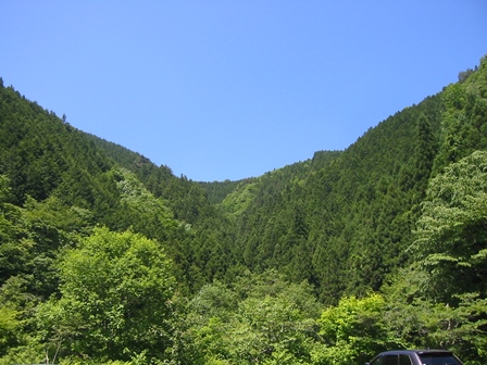 イメージ 2